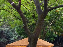 -大雁山风景区