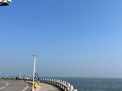 -野狸岛