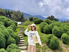 -云禾壹海景庄园餐厅