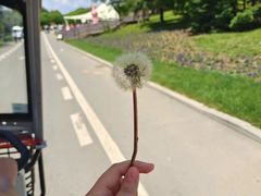 -沈阳植物园