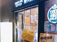 -野人先生现做冰淇淋(北京顺义祥云小镇店)