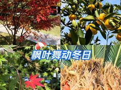 -龙头寺公园