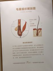 -熙朵美学植发连锁