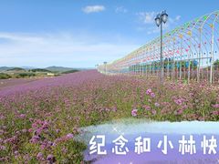 景点-密云玫瑰情园