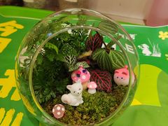 -骑鹅公社(南开大悦城店)