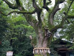 -热田神宫