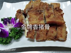 -鲤鱼塘农家山庄