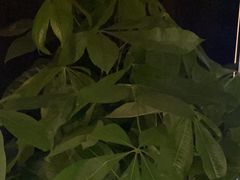 -泰之源足浴会所(玉环店)