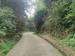 -黄埔油麻山森林公园