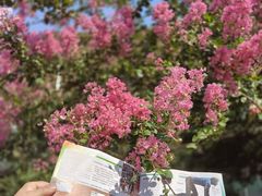 -杭州城北体育公园