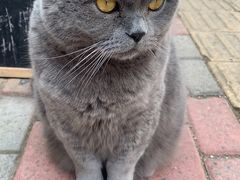 -Rabbit Cafe私房西餐甜点咖啡(栖霞路店)