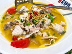 -港升鱼师傅·中山脆肉鲩