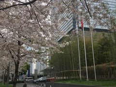 -陆家嘴空中步行连廊