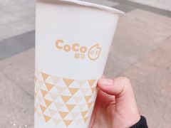 鲜醇牛奶三兄弟-CoCo都可(新街店)
