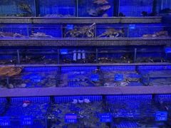 -青蓬蒸汽海鲜·深圳老字号·团建聚会(壹方城店)