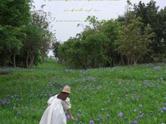 -白鹭湾湿地公园