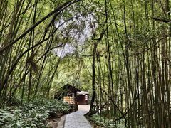 -马岭河峡谷风景区