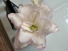 -杭州杭帮菜博物馆