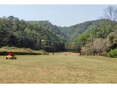 -南宁良凤江国家森林公园