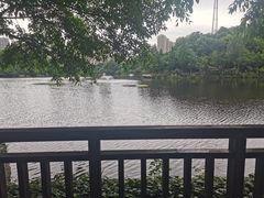 -重庆彩云湖湿地公园