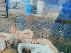 -常家活海鲜小吃(仅一家无分店)