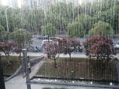 -大拙里·精致融合菜(沙湖桃源国际店)