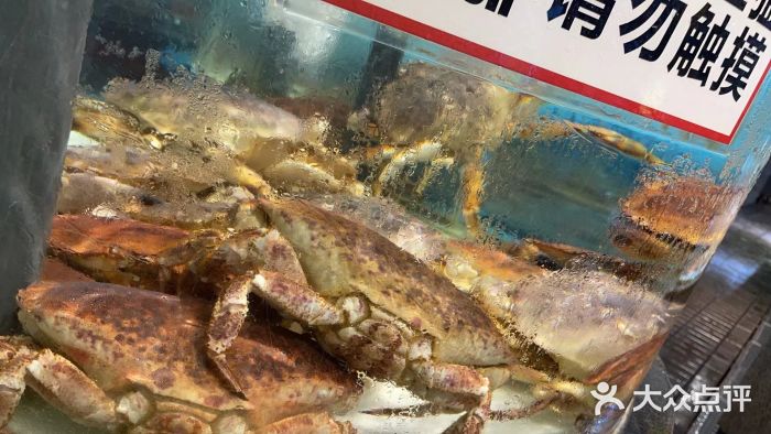 万龙洲海鲜(南新仓店)图片