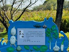 -梁鸿国家湿地公园