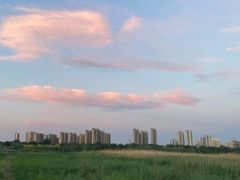 -绿堤公园
