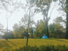 -文华公园(禅城区)