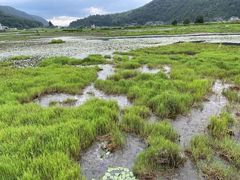 -腾冲北海湿地
