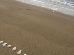-兴旺渔家