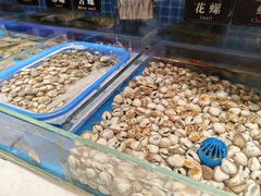 -加餐海鲜自助(宝龙一城店)