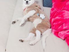 -通透堂中医·精准推拿(旗舰店)