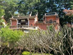 -安海长火土笋冻