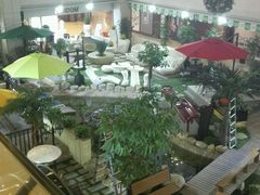 android_upload_pic-红星美凯龙(东北全球家居1号店)