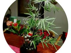 -白鹭原茶艺馆