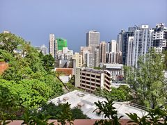-香港大学