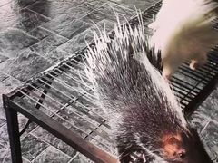 -清迈夜间动物园