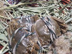 -味庄·家宴(金海四路店)