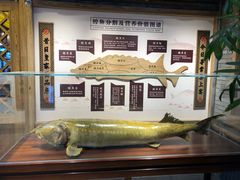 -胖姐渔村(中源大道店)