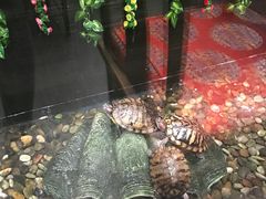 -宁波状元楼酒店(和义路店)