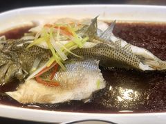 -阿西娅食府(中关村店)