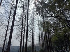 -食膳公园包子铺(烈士公园店)