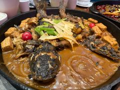 -老板恋上鱼(印象城店)