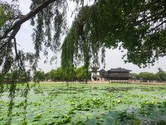 -锦溪古镇