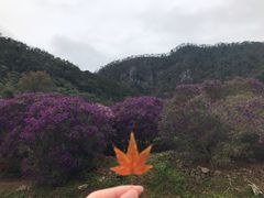 -广州市石门国家森林公园