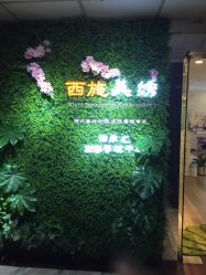 -西施无菌半永久纹绣眉眼影唇轻增发纹发际线