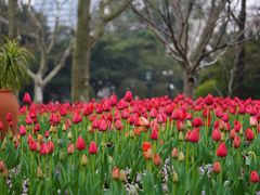 -中山公园