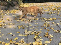 -上海市保健医疗中心